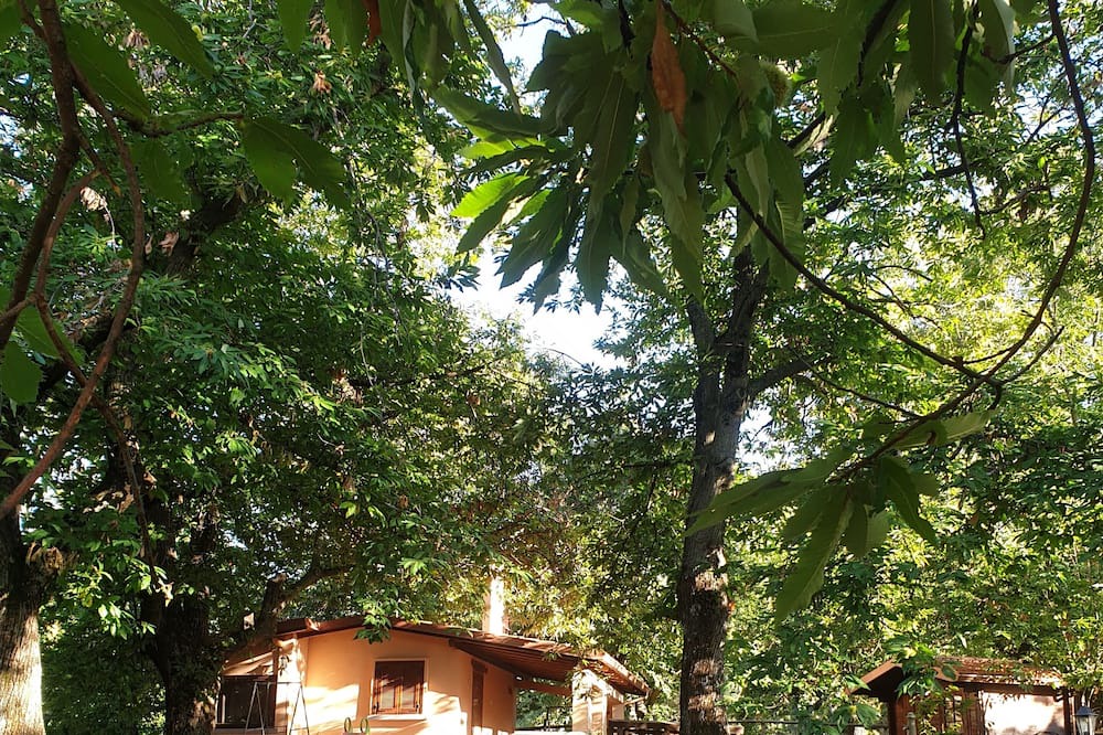 Photo of Outdoor in Segni