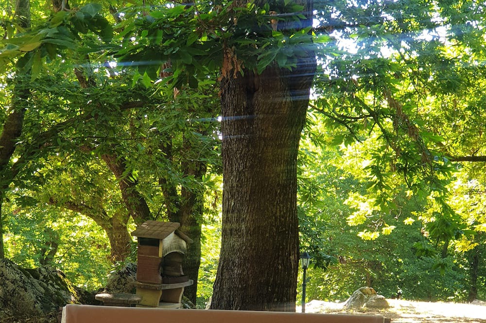 Photo of Outdoor in Segni