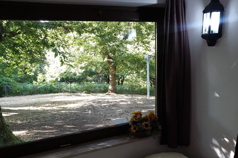 Photo of Bedroom in Segni