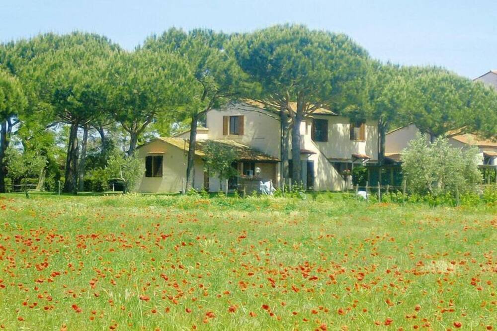 Photo of Outdoor in Marina di Grosseto