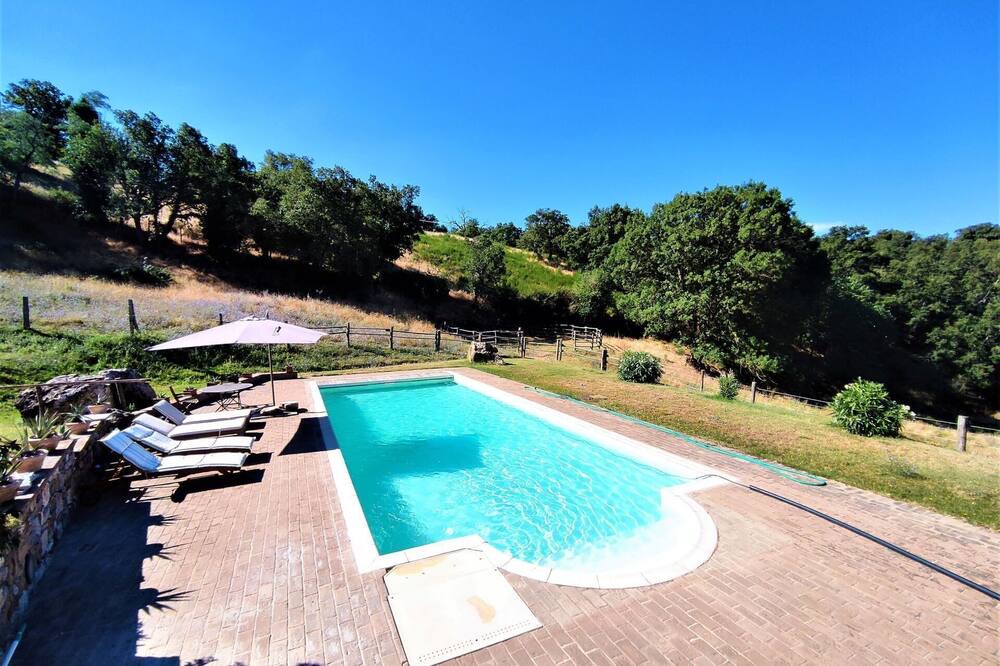 Photo of Outdoor in Scansano