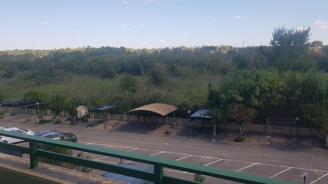 Photo of Others in Baia Verde