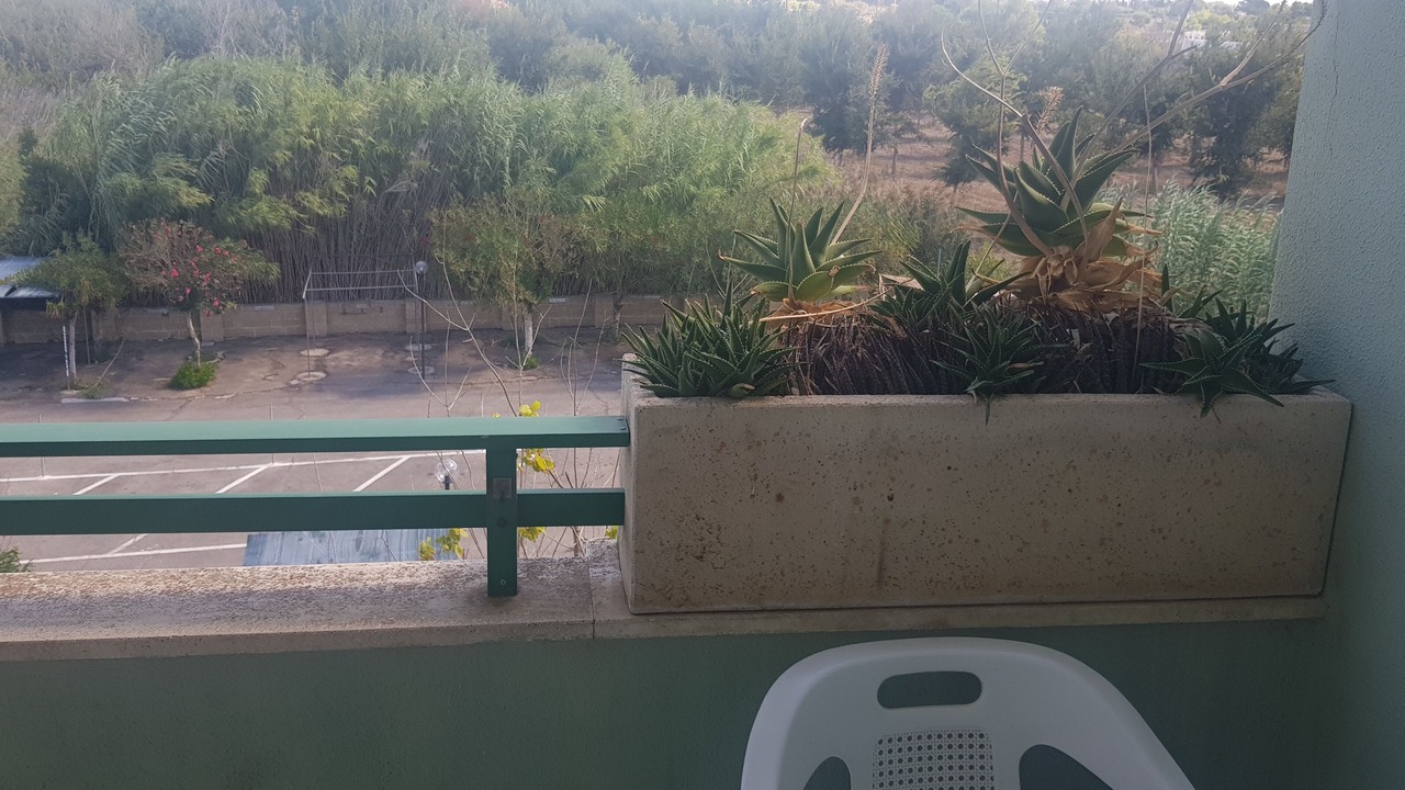 Photo of Others in Baia Verde