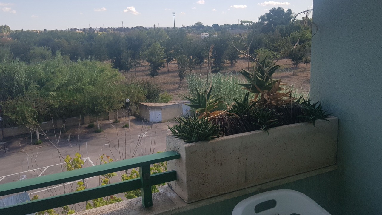 Photo of Others in Baia Verde