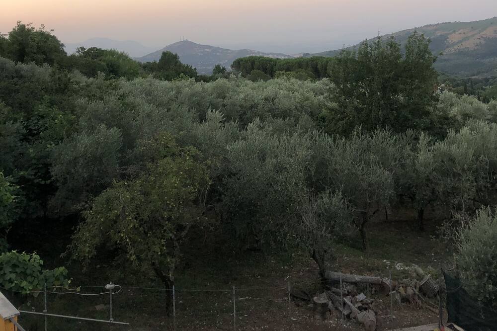 Photo of Others in Bassiano