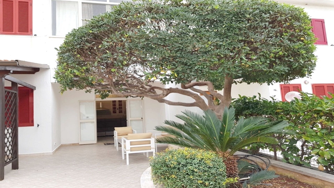 Photo of Outdoor in Marina di Ostuni
