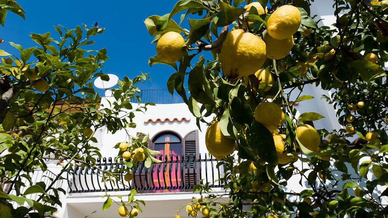 Photo of Outdoor in Sperlonga
