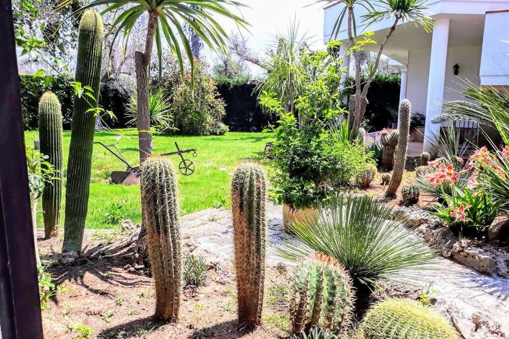 Photo of Outdoor in Leverano