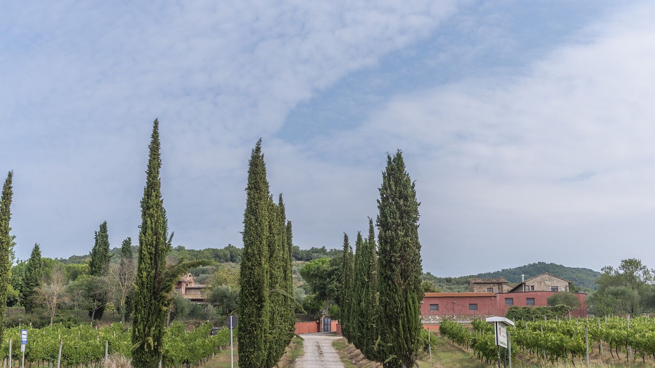 Photo of Others in Magione