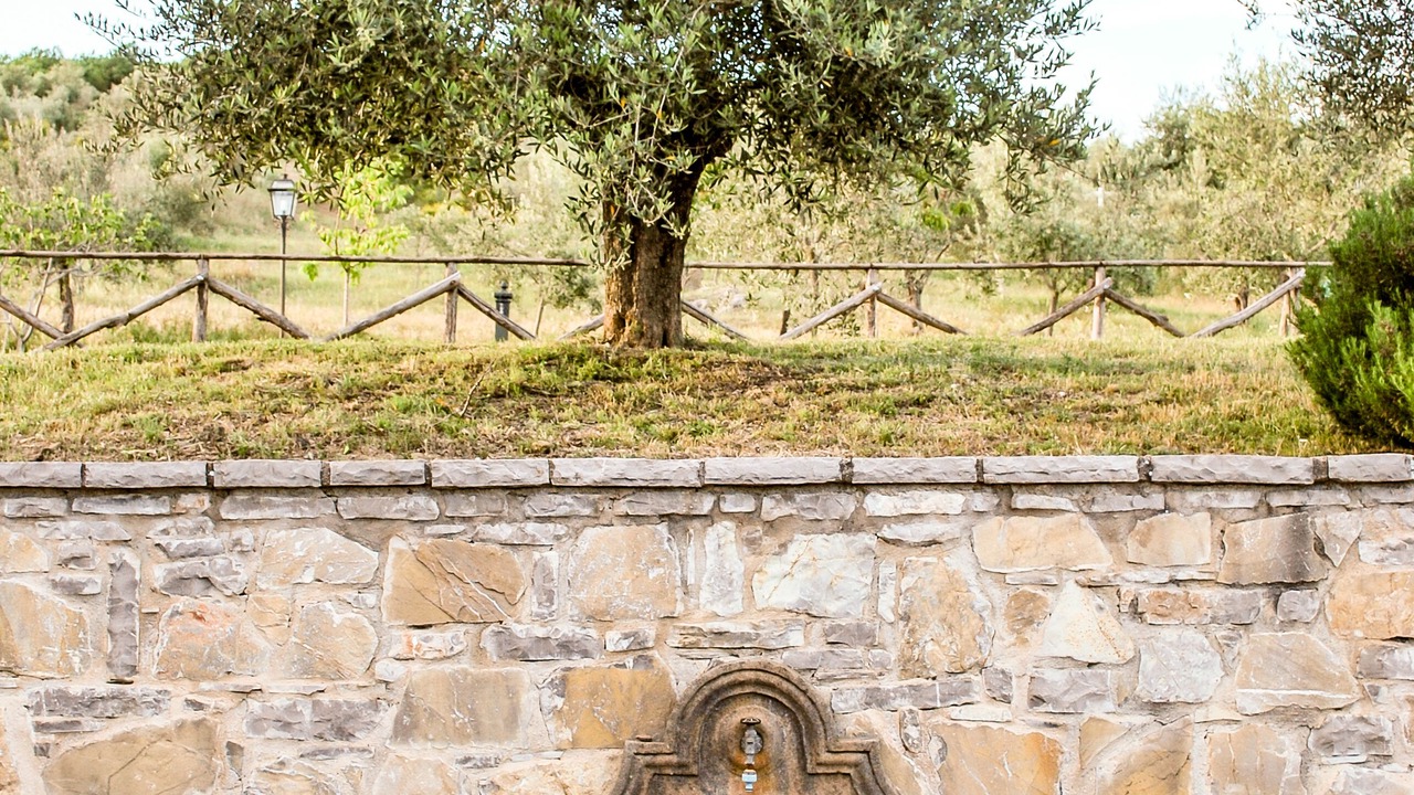 Photo of Outdoor in Magione