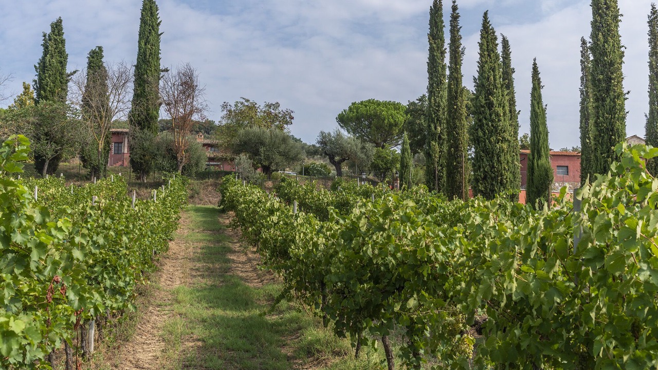 Photo of Outdoor in Magione