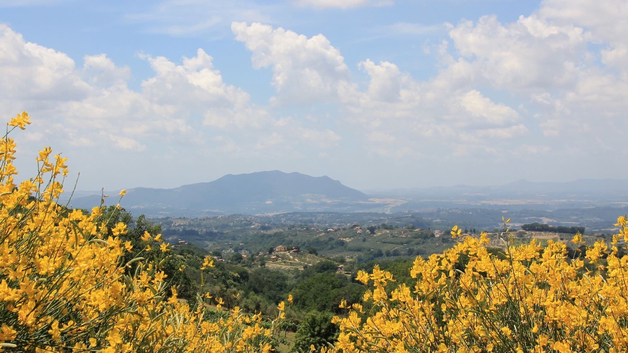Photo of Others in Casperia