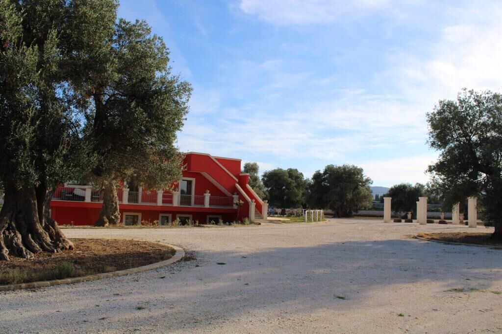 Photo of Outdoor in Fasano