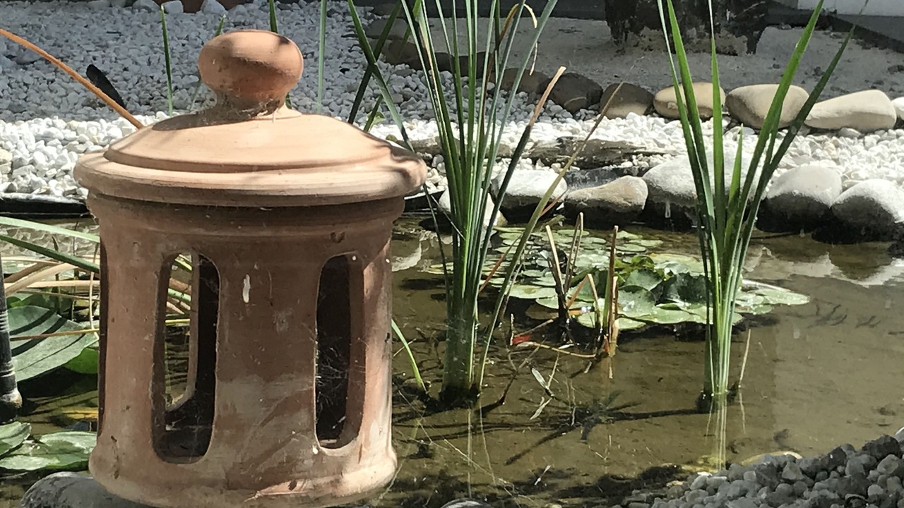 Photo of Outdoor in Cerveteri