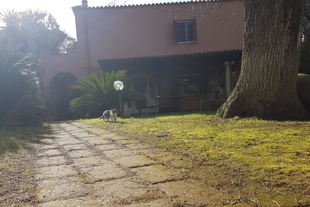 Photo of Outdoor in Sabaudia