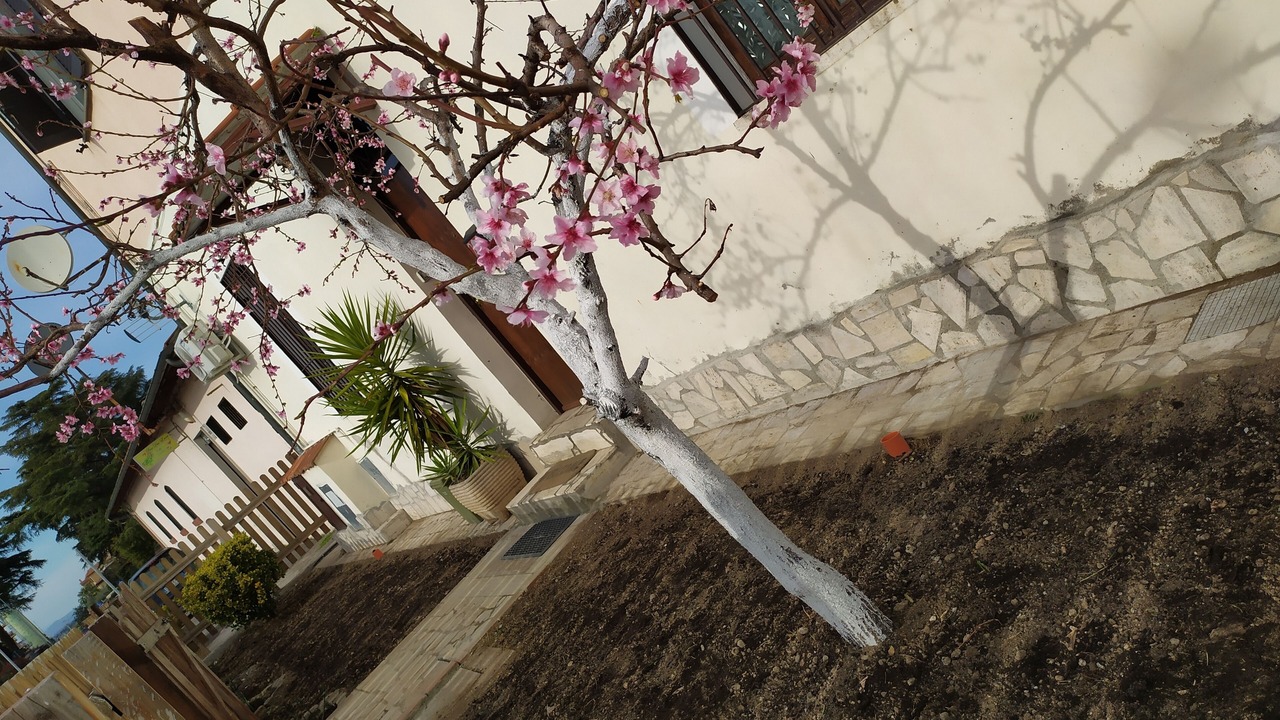Photo of Outdoor in Torre Angela