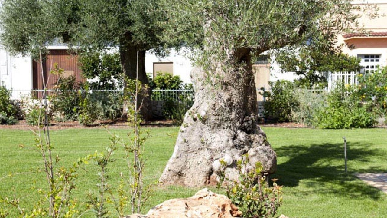 Photo of Outdoor in Pezze di Greco