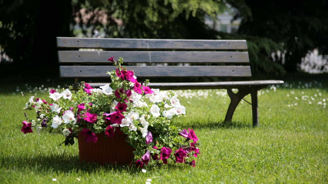 Photo of Outdoor in Ferentino