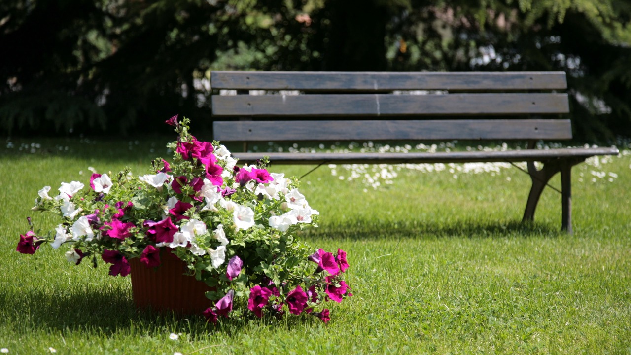 Photo of Outdoor in Ferentino
