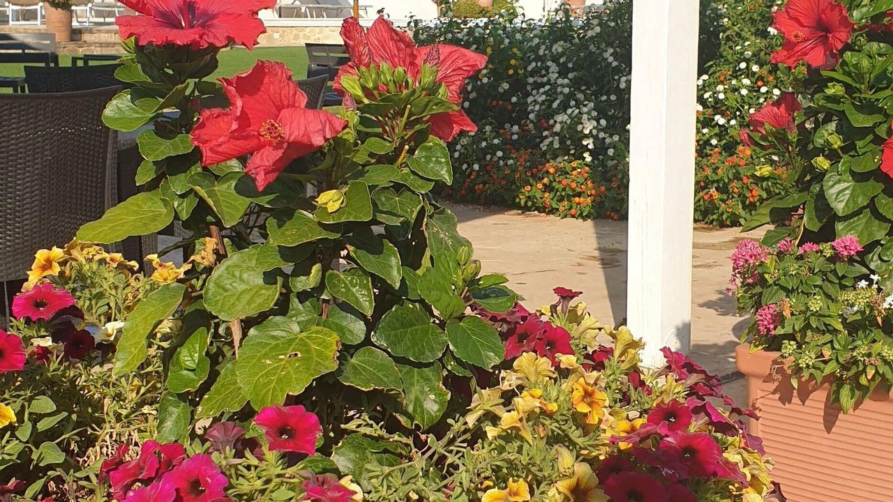 Photo of Outdoor in Fregenae