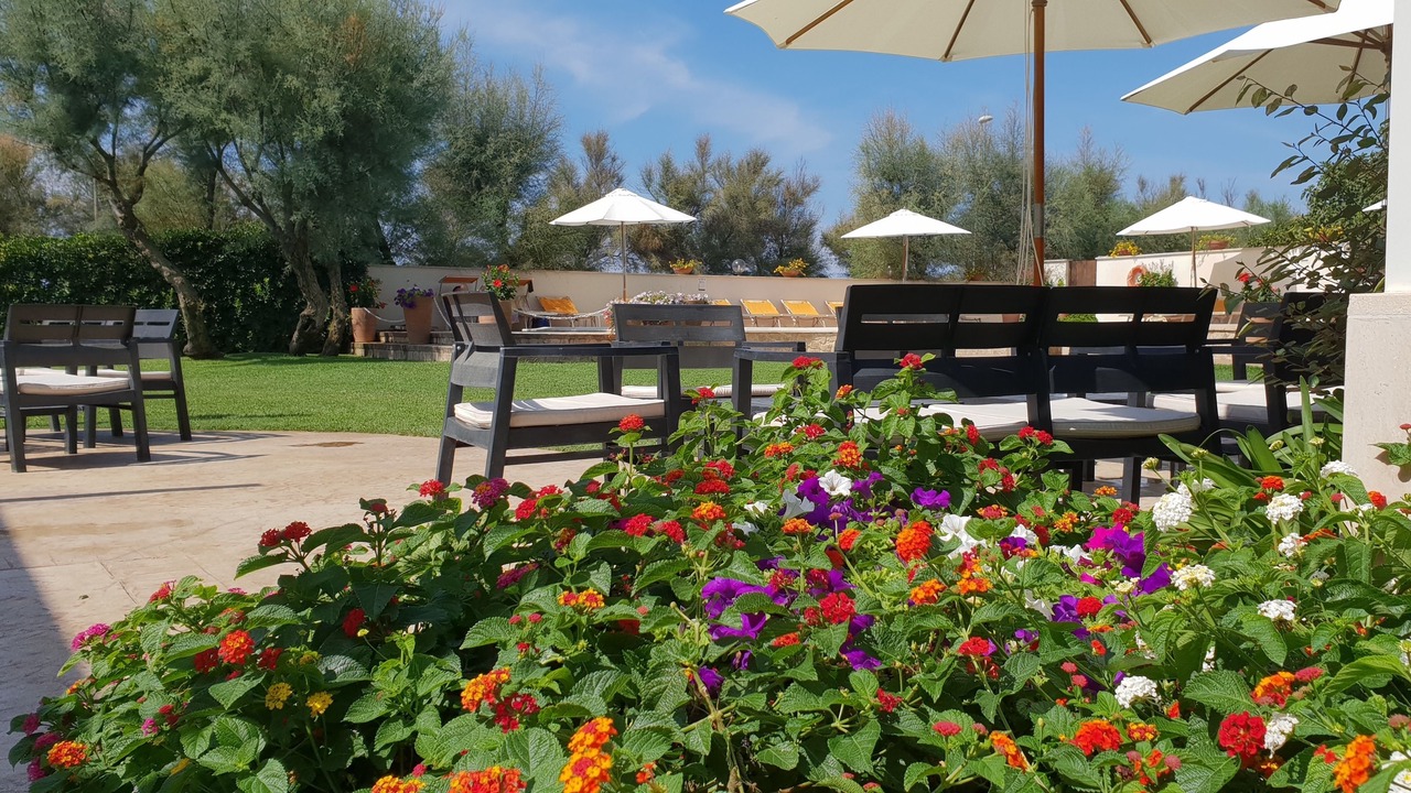 Photo of Outdoor in Fregenae