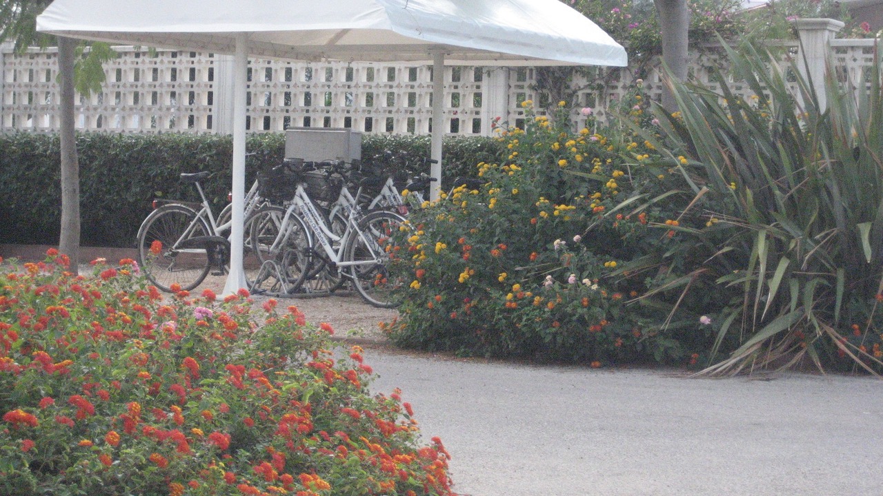 Photo of Outdoor in Villanova