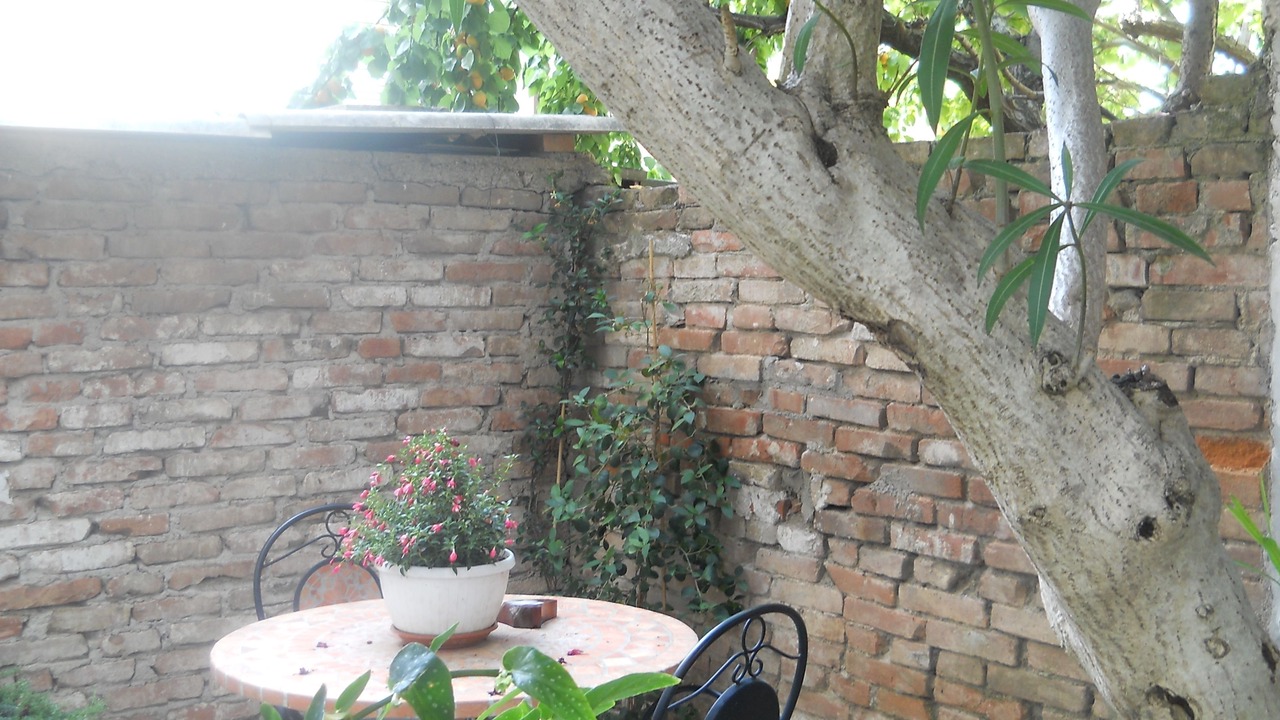 Photo of Outdoor in Grosseto
