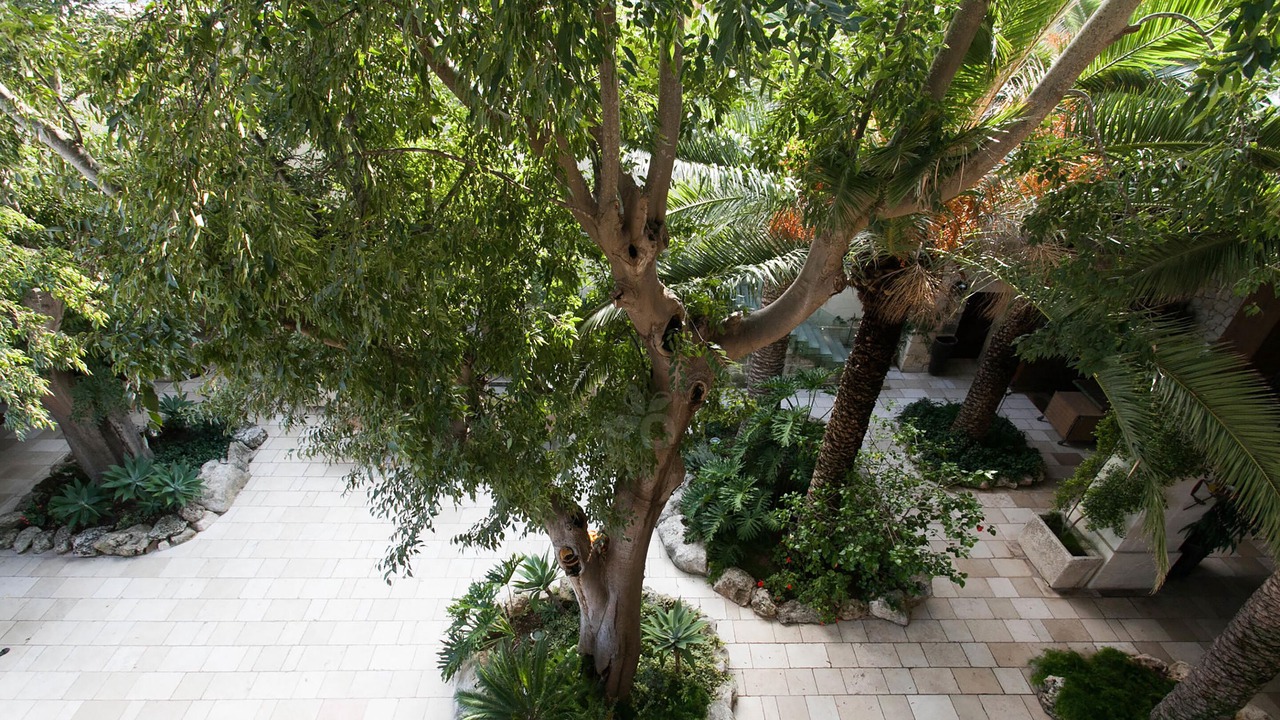 Photo of Outdoor in Lecce