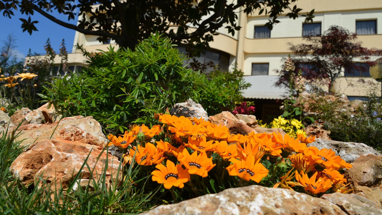 Photo of Outdoor in Cassino