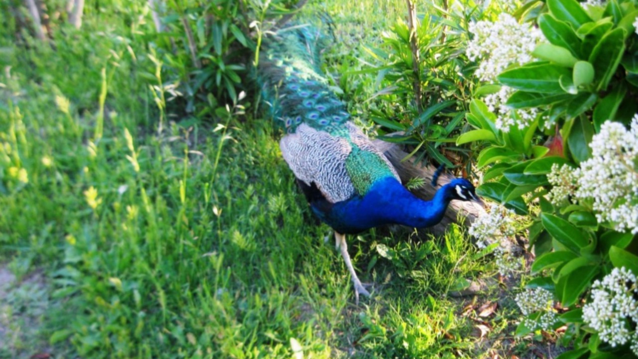 Photo of Outdoor in Barletta