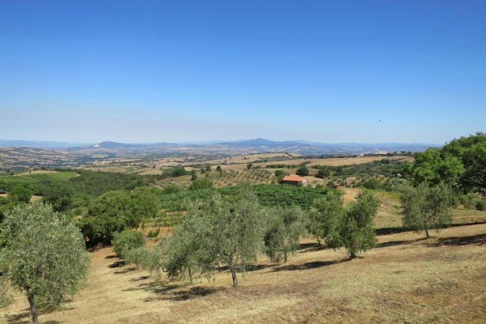 Photo of Outdoor in Scansano
