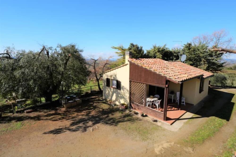 Photo of Outdoor in Scansano