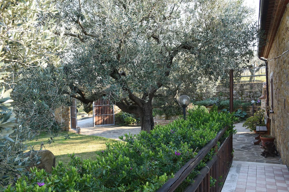 Photo of Outdoor in Castellabate