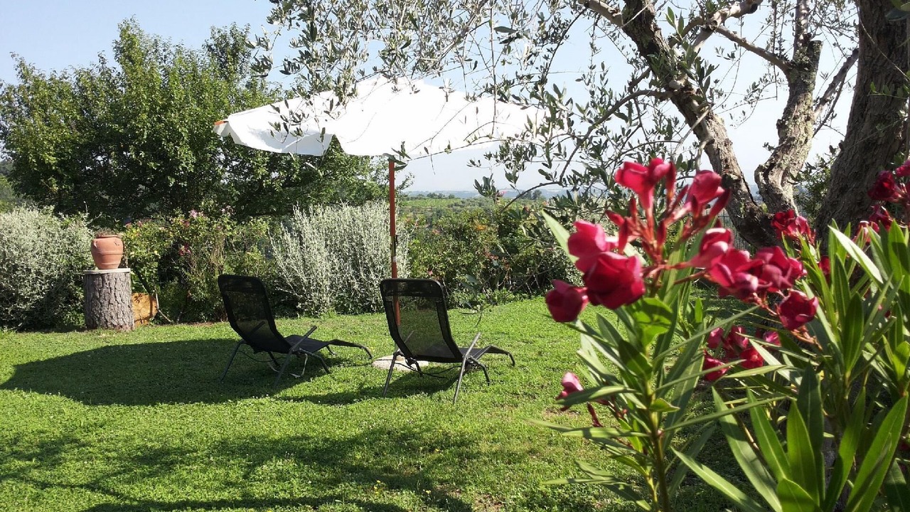 Photo of Outdoor in Castel Cellesi