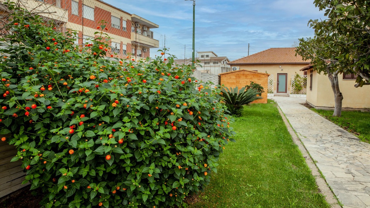 Photo of Outdoor in Fiumicino