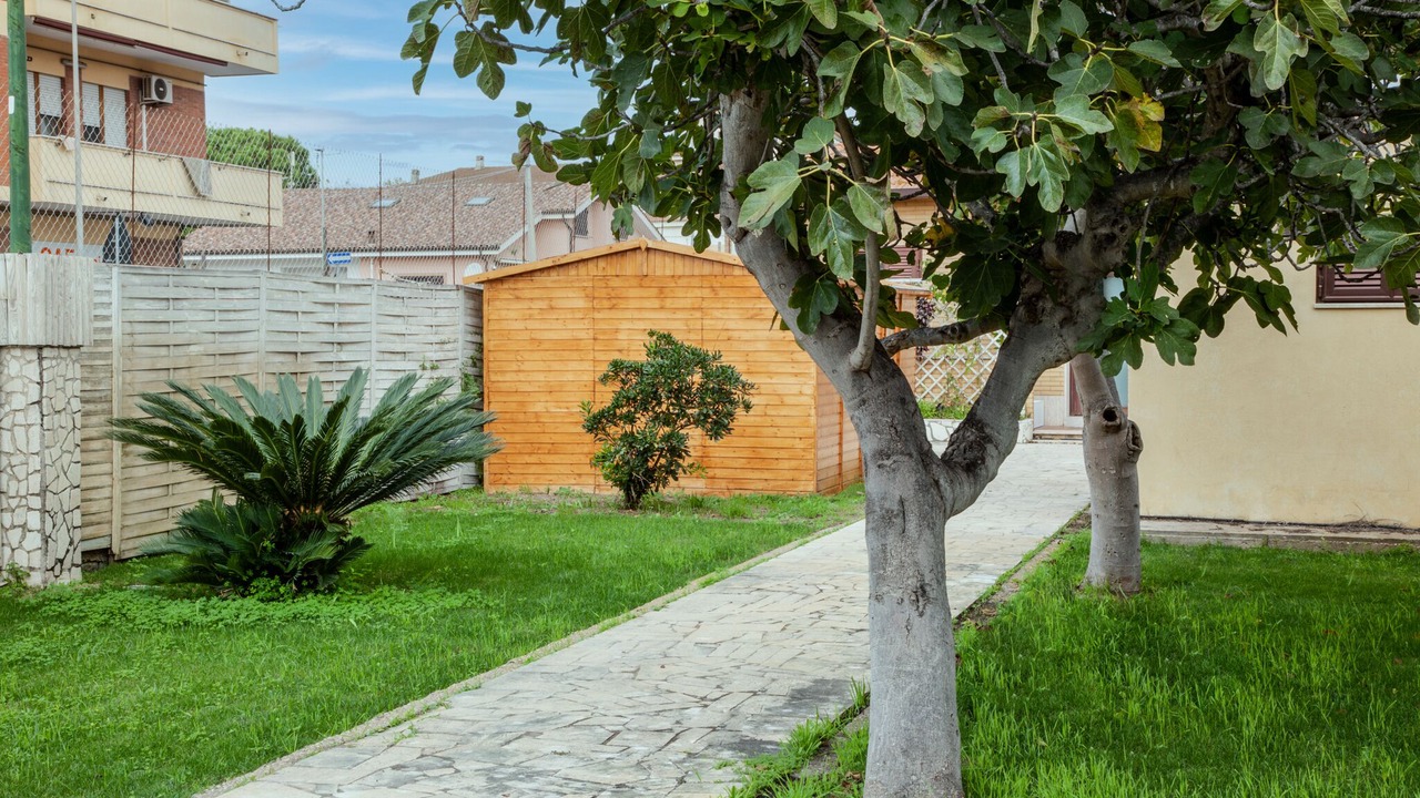 Photo of Outdoor in Fiumicino