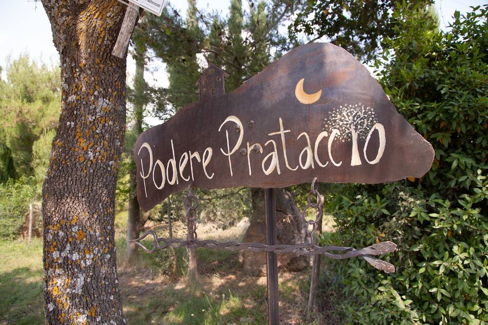 Photo of Outdoor in Scansano