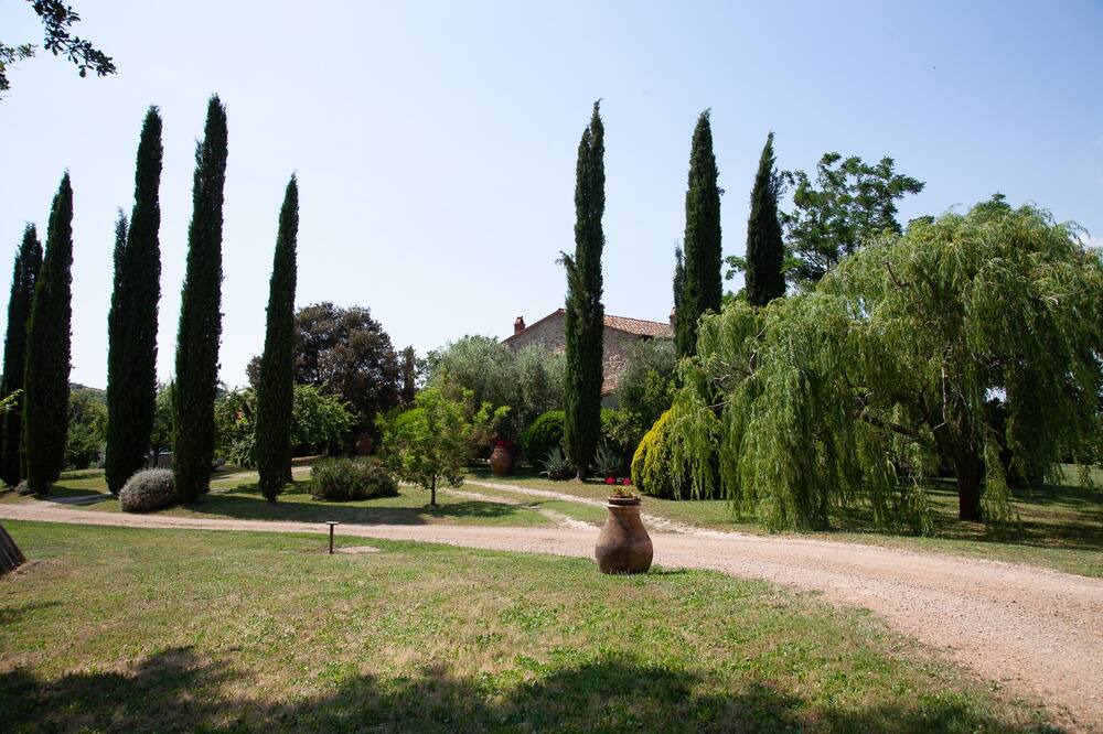 Photo of Outdoor in Scansano