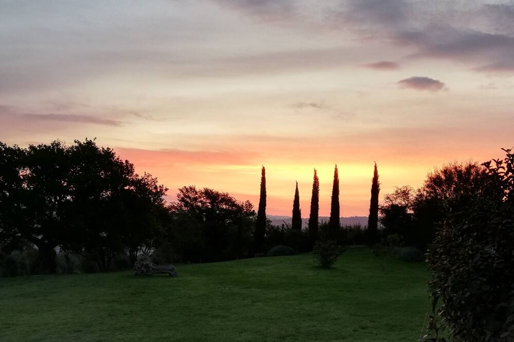 Photo of Outdoor in Scansano