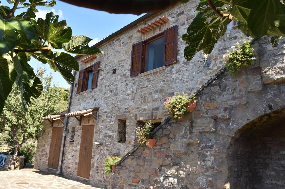 Photo of Outdoor in Castellabate