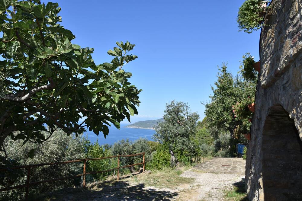 Photo of Outdoor in Castellabate