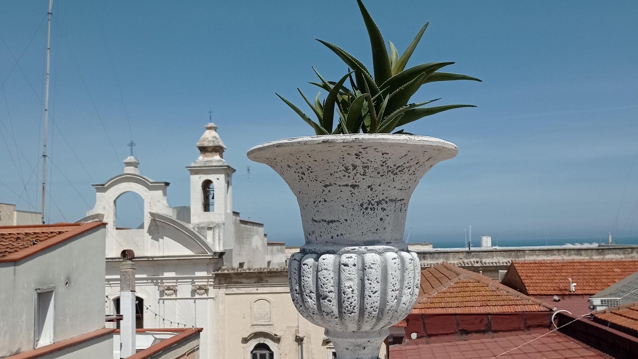 Photo of Outdoor in Santa Maria