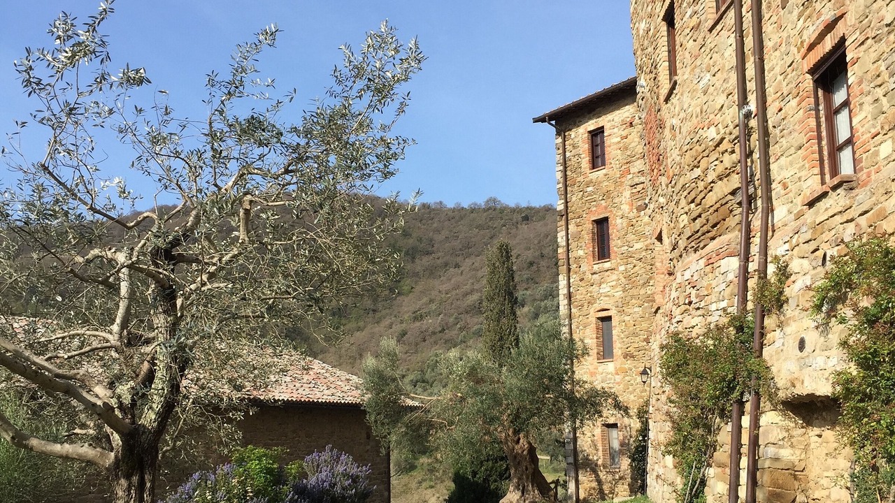Photo of Outdoor in Piegaro