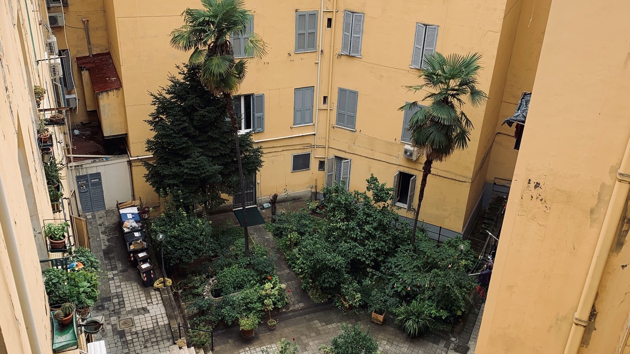 Photo of Outdoor in San Lorenzo