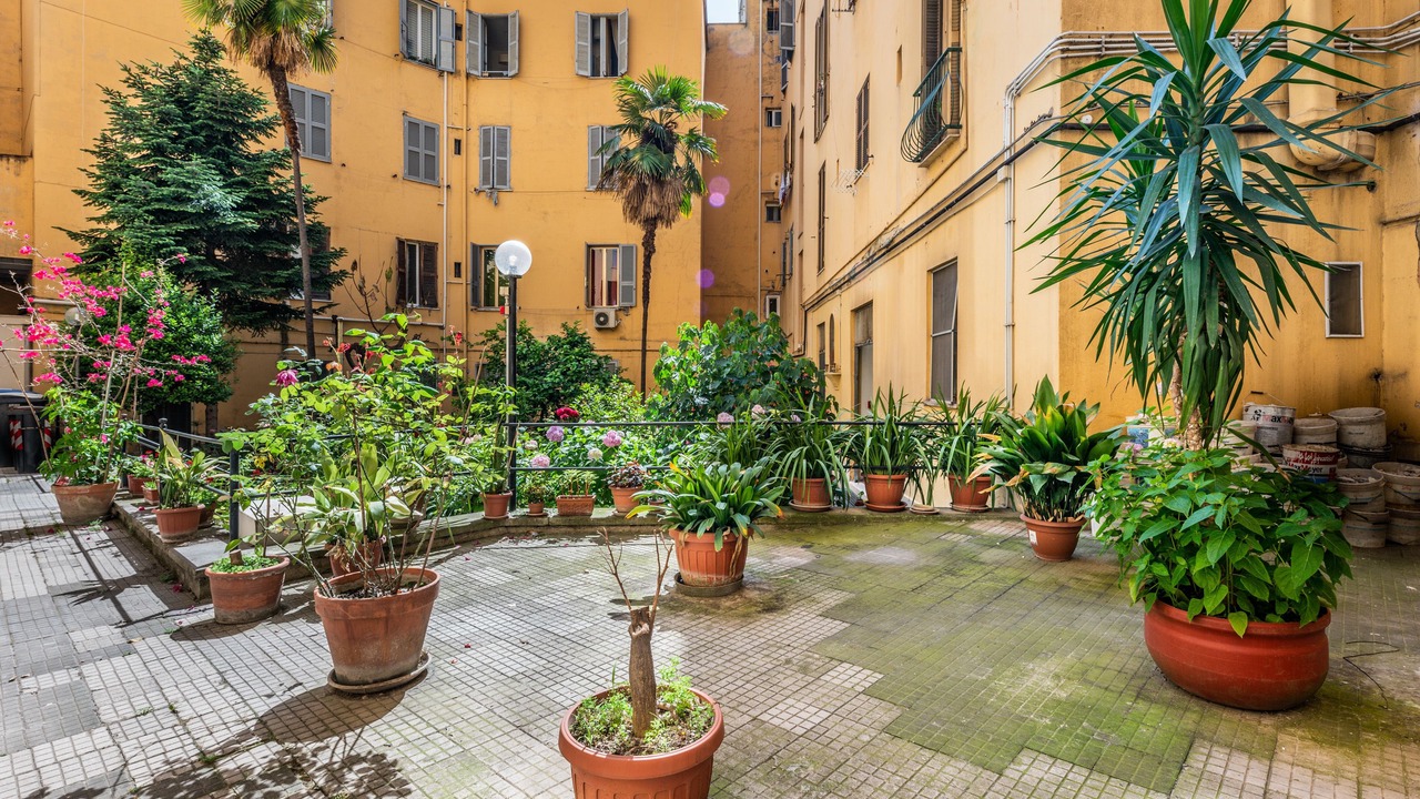 Photo of Outdoor in San Lorenzo