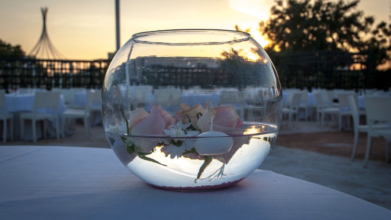 Photo of Outdoor in Turi