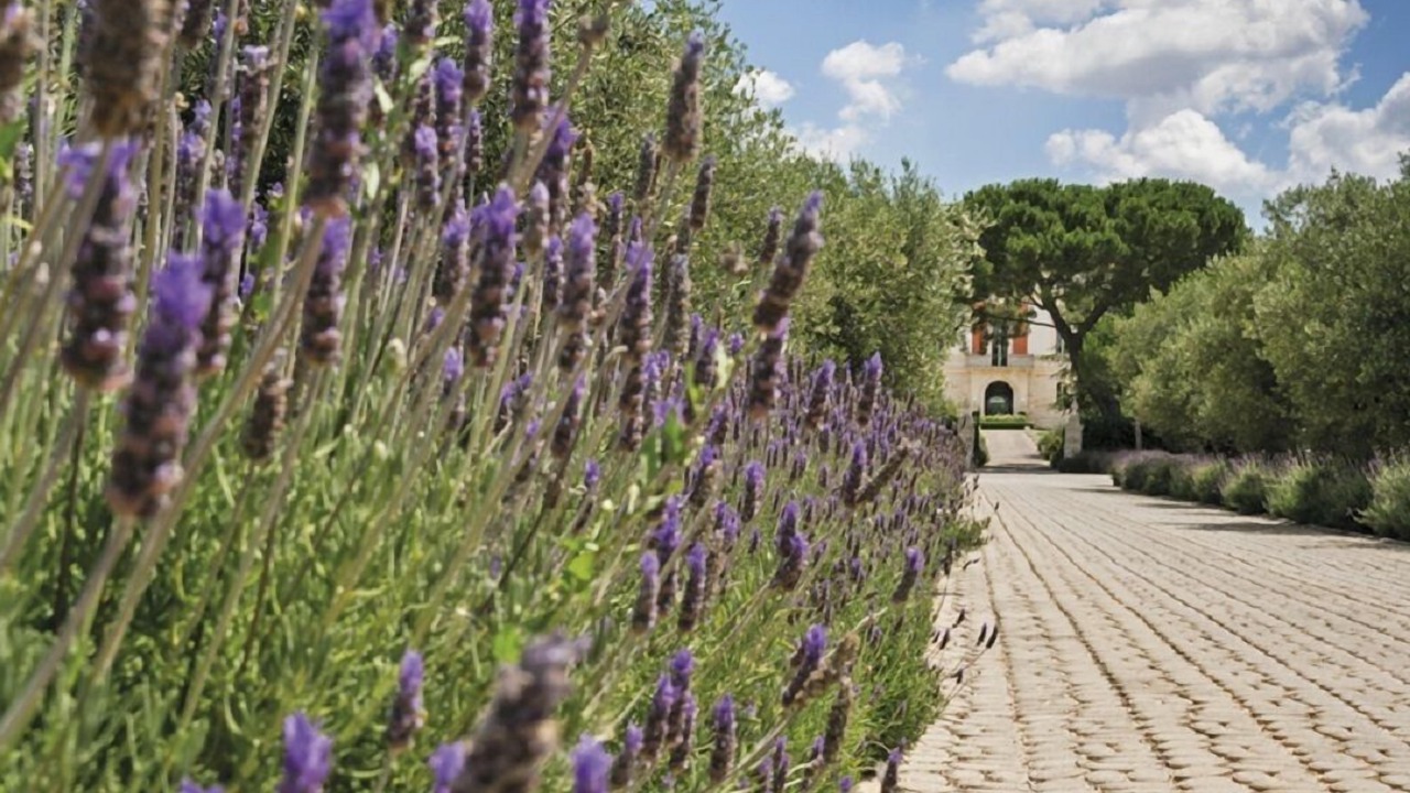 Photo of Outdoor in Turi
