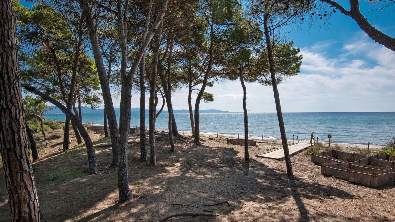 Photo of Others in Piombino