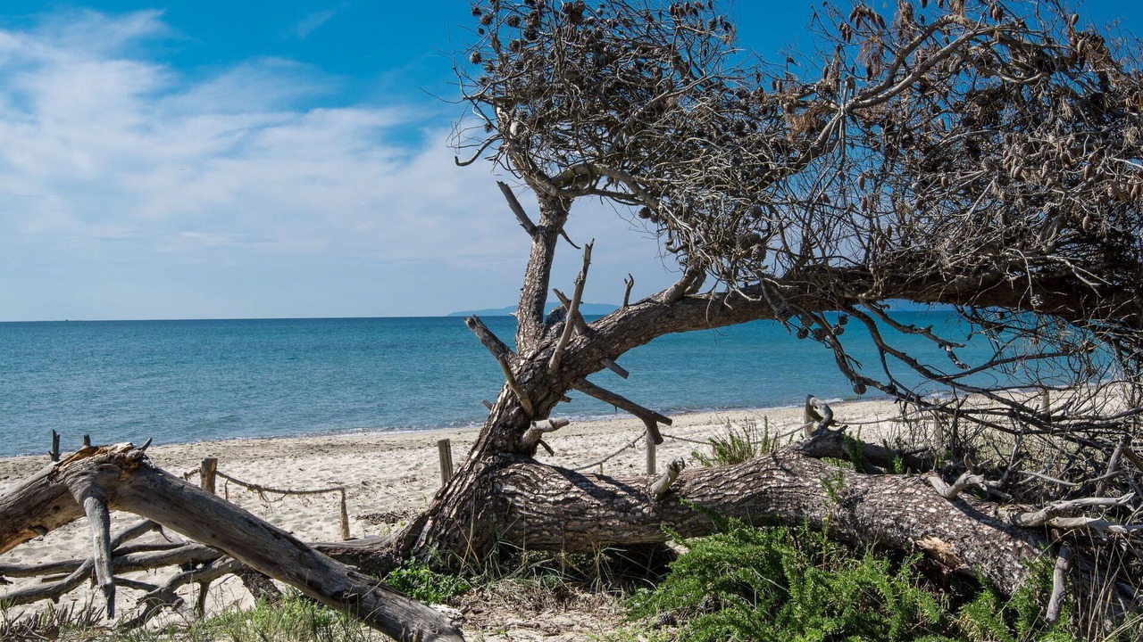 Photo of Outdoor in Piombino