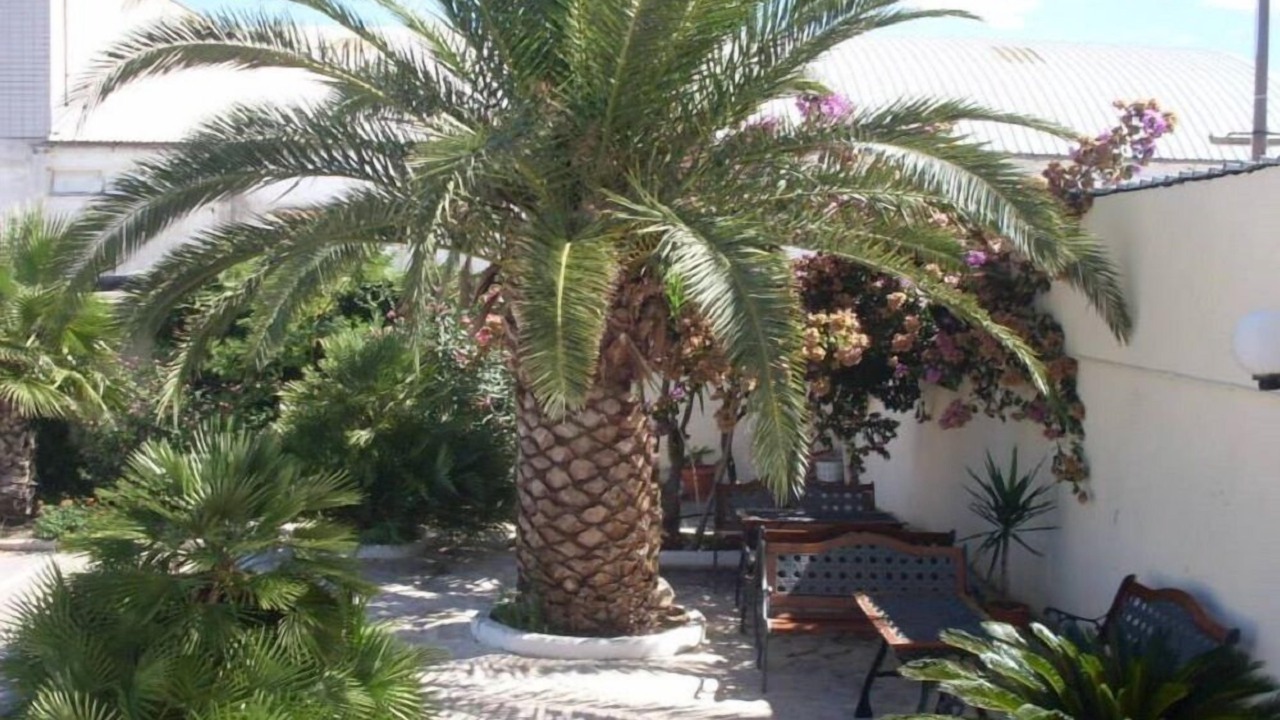 Photo of Outdoor in Corato